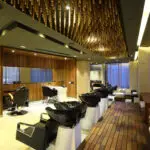 salon 1